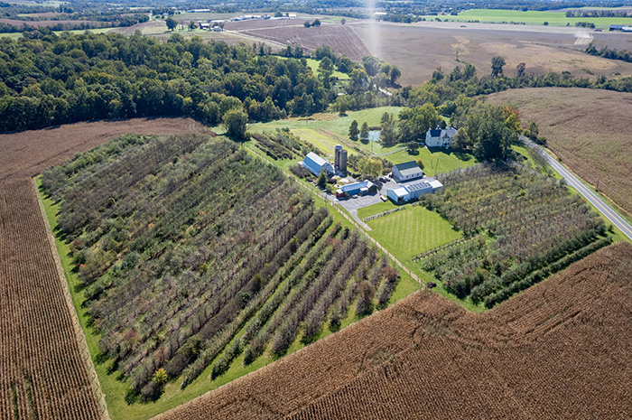 Distillery Lane Ciderworks: A Premier Maryland Farm & Cidery for Sale