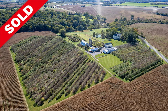 Distillery Lane Ciderworks: A Premier Maryland Farm & Cidery for Sale