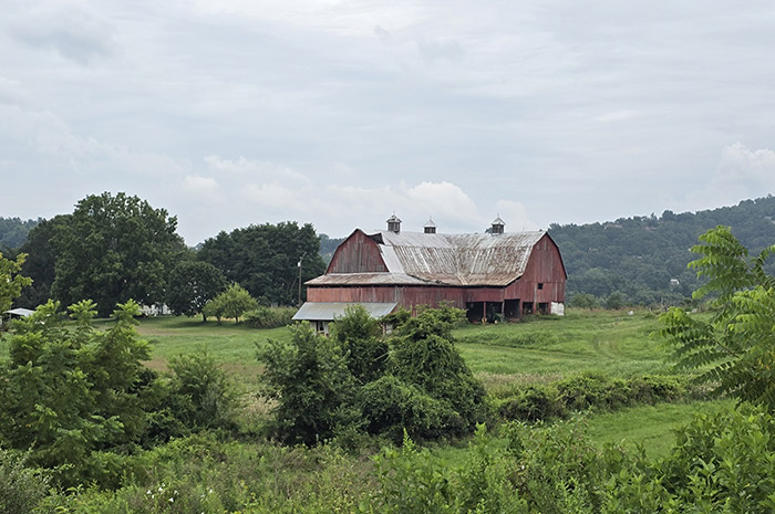 Event Venue and Agritourism potential on 35-Acres with Vineyards, Pond & Historic Barn — Northern Virginia